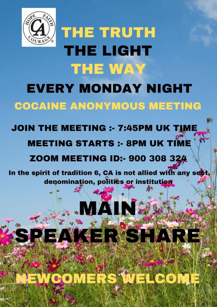 CA, The Truth, The Light, The Way Flyer